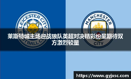 莱斯特城主场迎战狼队英超对决精彩纷呈期待双方激烈较量